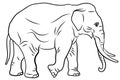 In the animal world. Image of an elephant. Black and white drawing, coloring. Royalty Free Stock Photo